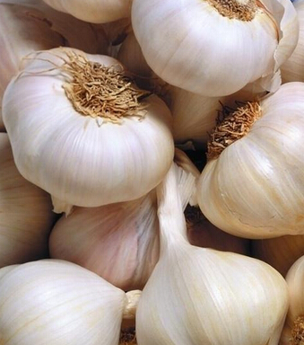 天天饮食 男人如何吃出健康来