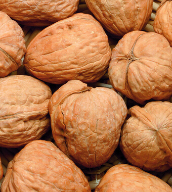 中医养生 老年人养生强荐 四梢 养生法