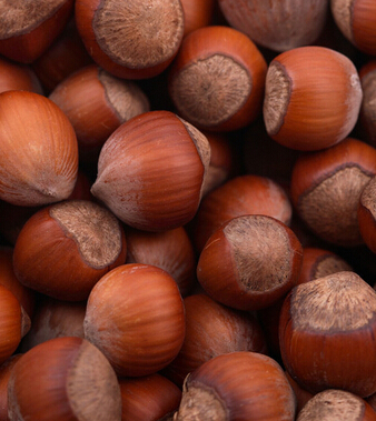 健康饮食小知识 10大坚果食用禁忌