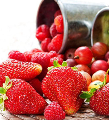 如何有效排毒 身体排毒的10妙方