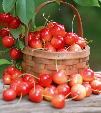 吃什么排毒 七种水果帮助女人扫除毒素