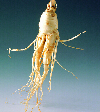 饮食搭配禁忌 喝茶千万要忌这些食物