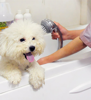 养生常识 如何应对夏天易发的5种皮肤病