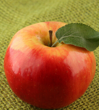 护发方法 八种水果养护黑亮长发