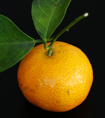 补血吃什么好 4大水果补血养颜远离疾病