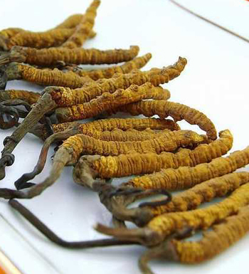 如何壮阳补肾 男人补肾养肾的方法有哪些