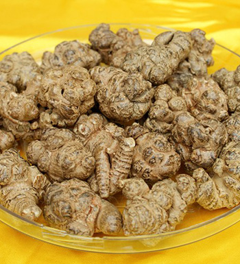 中药常识 三七保健养生的适用人群