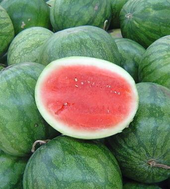 西瓜的功效与作用 西瓜可治疗多种病症