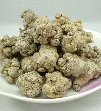 中药常识 三七保健养生的适用人群