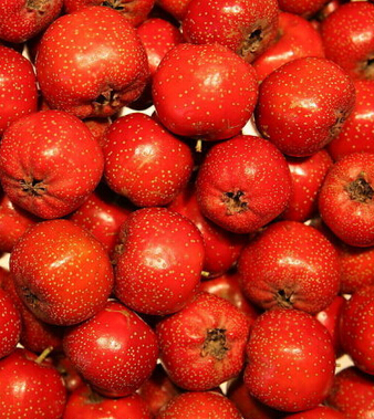 空腹不能吃的水果 9种水果不可空腹吃