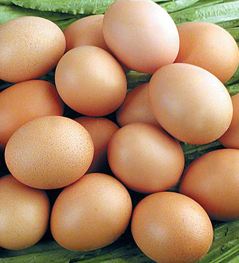 经常宿醉有哪些危害 什么食物可以解酒