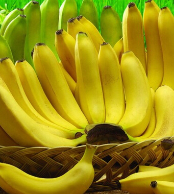 肾病饮食 肾病患者的日常饮食禁忌