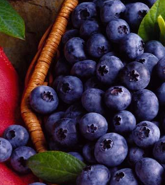 男性健康小常识 让男人长寿的秘方