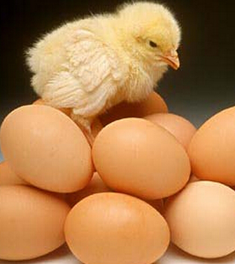 吃什么补肾壮阳 最具实力的十七种壮阳食物