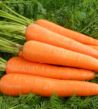 健康饮食 女人吃什么让你不变老