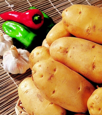 肠胃炎的症状 肠胃炎吃什么食物为宜