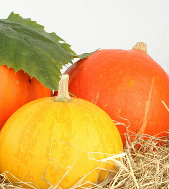 春天吃什么养生 教你春季老人败火方