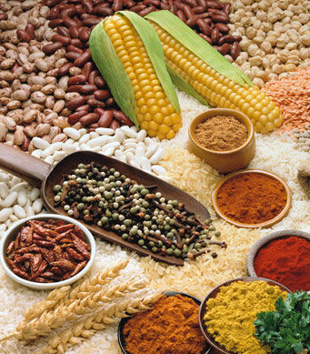 青春之旅 不想变老教你永葆20岁的10法则