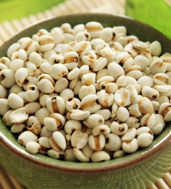 薏米的作用与功效及食用方法 薏米的营养价值