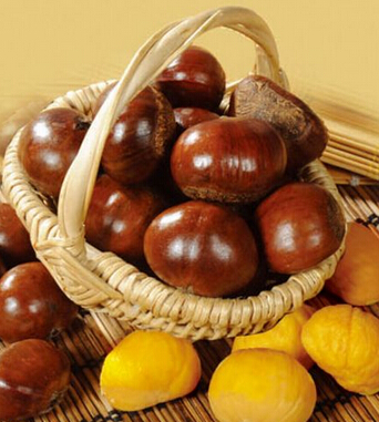 吃什么补肾虚 推荐补肾虚效果最好的食物