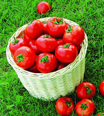 吃西红柿的好处 西红柿治病的十大功效