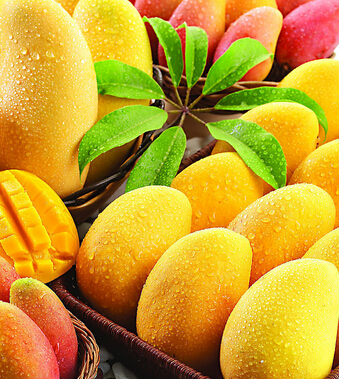 芒果吃多了会怎么样 芒果的功效与作用