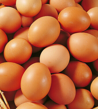 肾虚吃什么好 8食物帮助男人补肾效果好