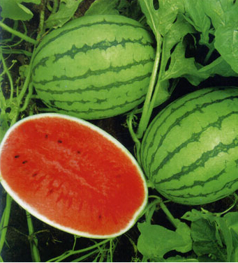 糖尿病人食谱 糖尿病人的饮食指南