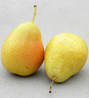 夏季温热如何养生 推荐10款食物清热润肺