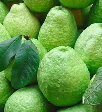 世界最臭的美食有哪几种 那些越臭越好吃的美食