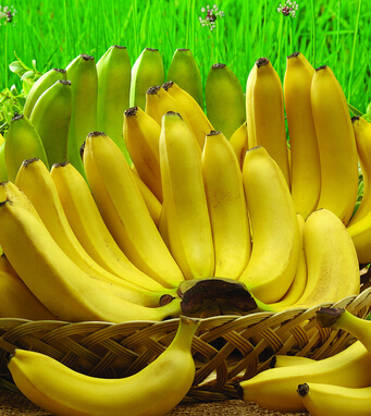 香蕉的功效与作用 每天吃香蕉的好处