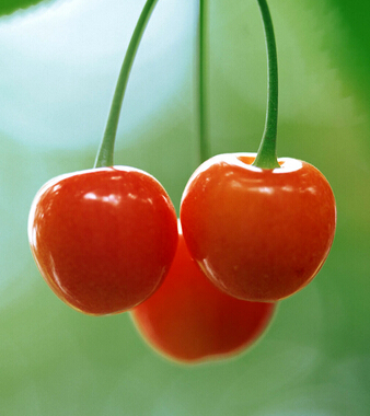 吃樱桃有什么好处 樱桃可治妇科疾病