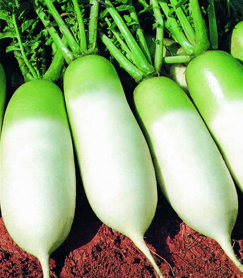 咳嗽吃什么好的快 用蜂蜜治疗的21种方法