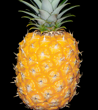 水果的营养价值 吃保健品不如吃水果