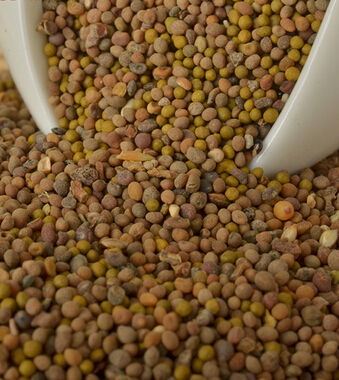 性欲低下 女人性欲低吃什么好