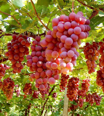 健康之路 7组数字教男人抓牢一生健康