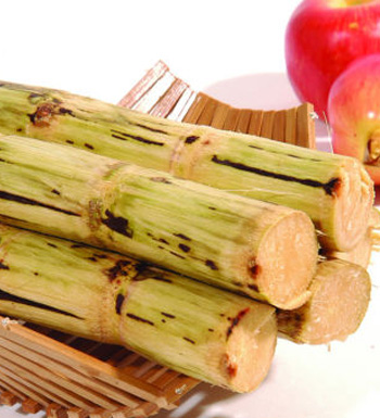 感冒吃什么好 感冒怎么办 吃什么对感冒有好处