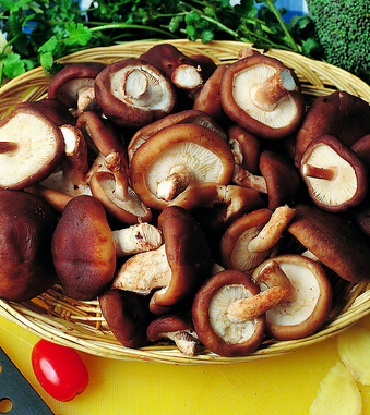 肾虚怎么办 14种食物帮你找回自信