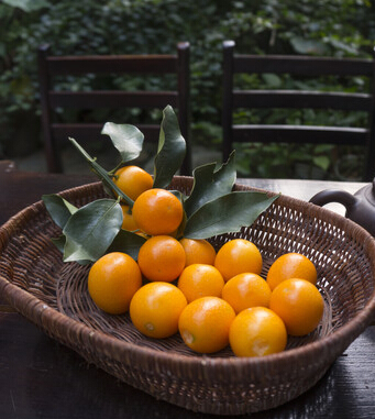 头屑多怎么办 7种水果帮你去屑又润发