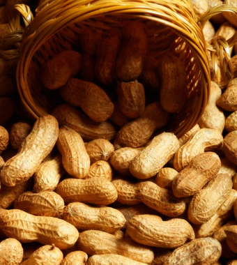 吃什么东西补精 男人养生需要做好哪些