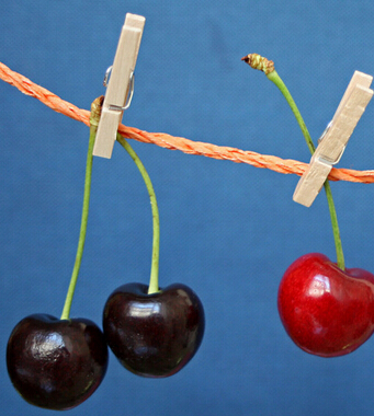 西瓜的功效与作用 西瓜解暑养颜有一手