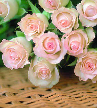 超级育儿师 每月胎教有重点