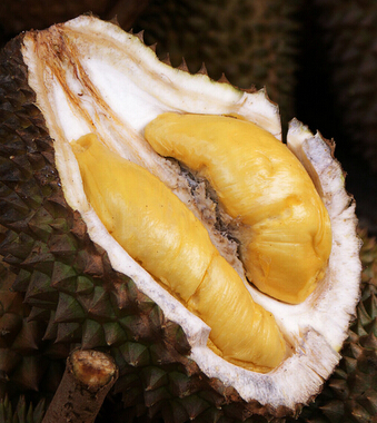 榴莲的营养价值 滋补又可缓痛经