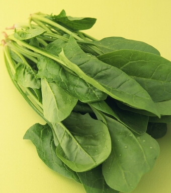 贫血吃什么好 七大补血食物还你红润肌肤