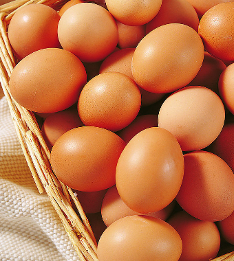 如何提高精子质量 男人的养精食物