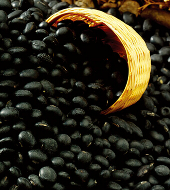 肾虚吃什么好 补肾的食物有哪些