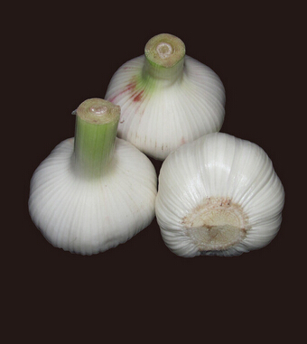 贫血怎么办 女人贫血千万别吃这7种食物