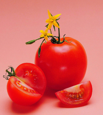 如何提高精子质量 男人的养精食物