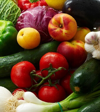 天天饮食 老人健康长寿实际是简单的事