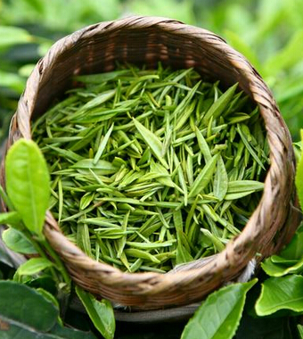 怀孕吃什么好 哪些食物有利母子健康